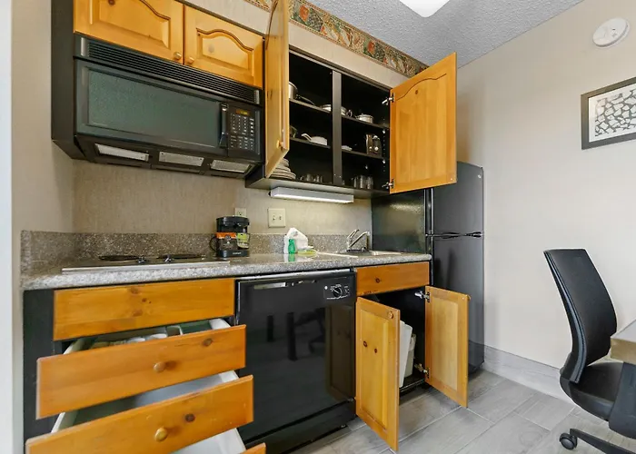 Metro Scottsdale Promo 1 Bd 1