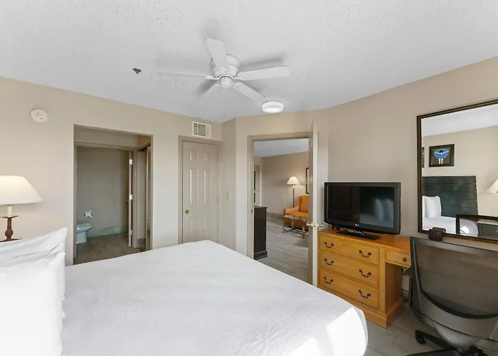 Metro Scottsdale Promo 1 Bd 1